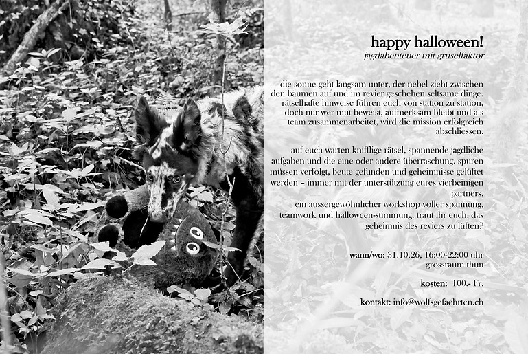 happy halloween, 31.10._edited.jpg