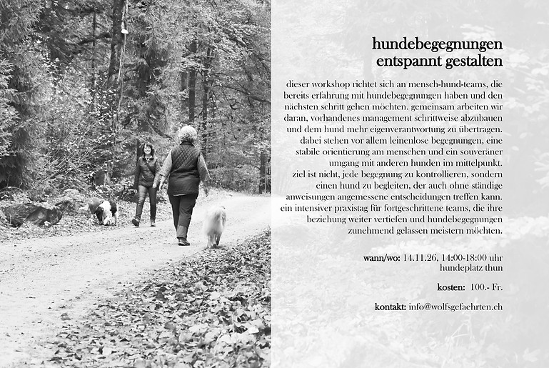 hundebegegnungen entspannt gestalten, 14.11._edited.jpg