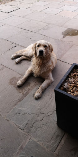 IMG-20190608-WA0019.jpeg