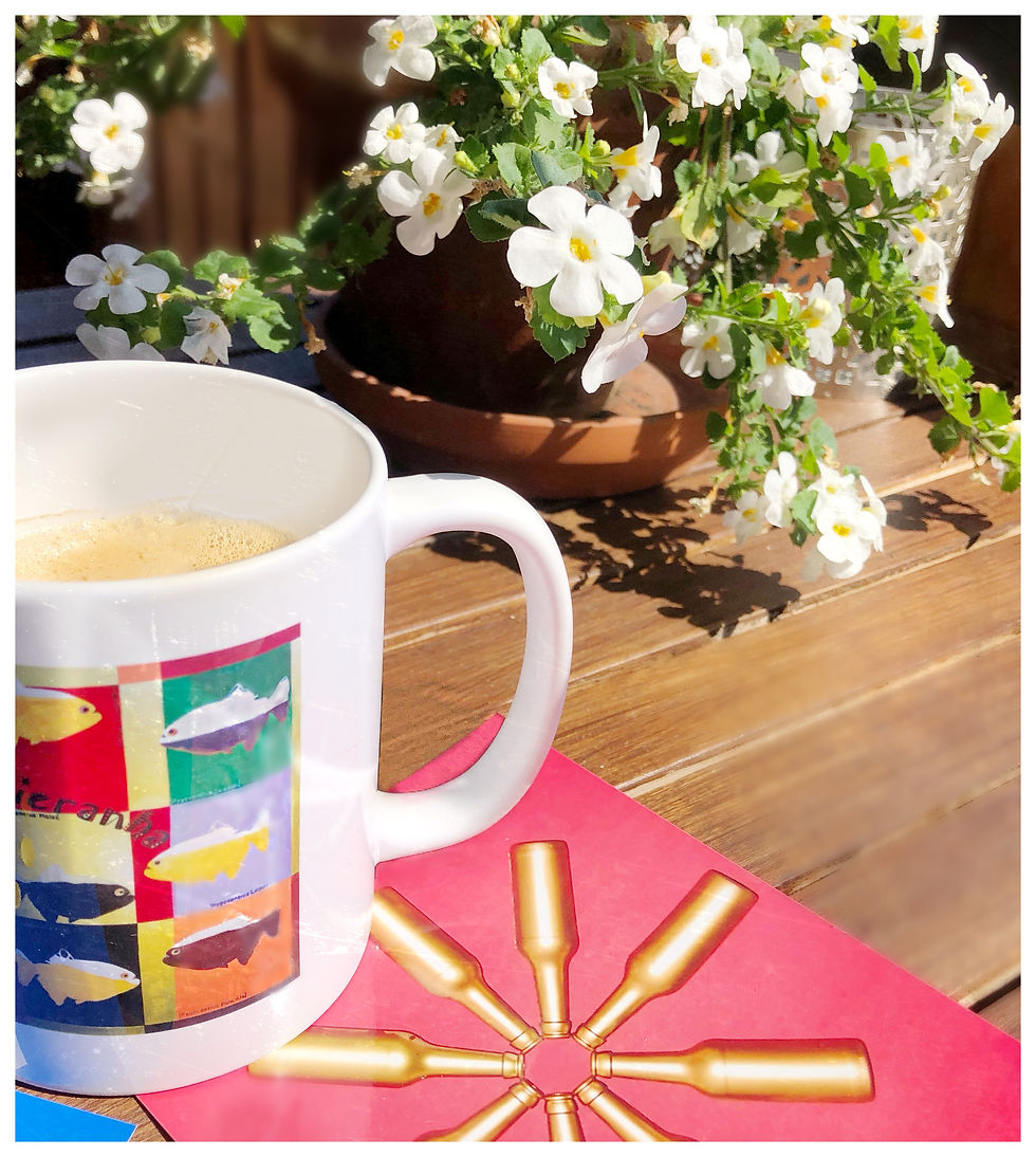 Miniaturbild: TASSE