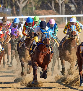 Horse Race
