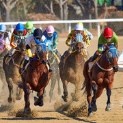 Carrera de caballos