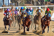 Horse Racing Event