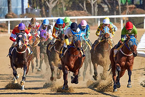 Horse Racing Event