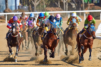 Horse Racing Event