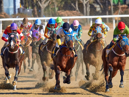 Becoming a Stalking Horse Bidder