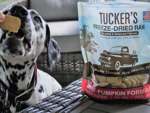 Blog Tucker s Raw Frozen Blog Tucker s Raw Frozen