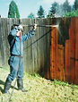 pressure_washing.jpg