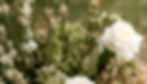 McPheeWedding-299_edited.jpg