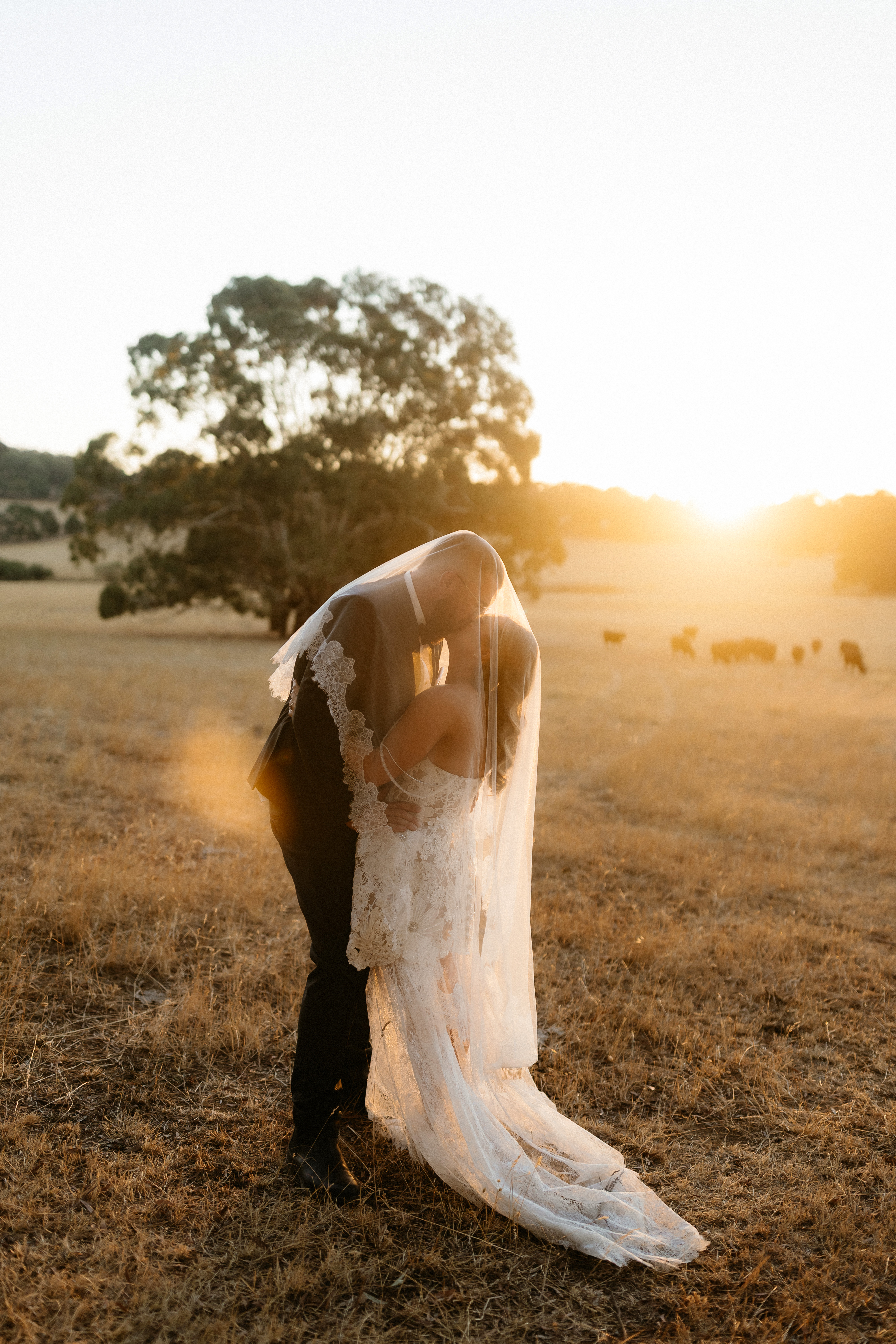 Alicia Flegeltaub Photography — photo 4 of 18