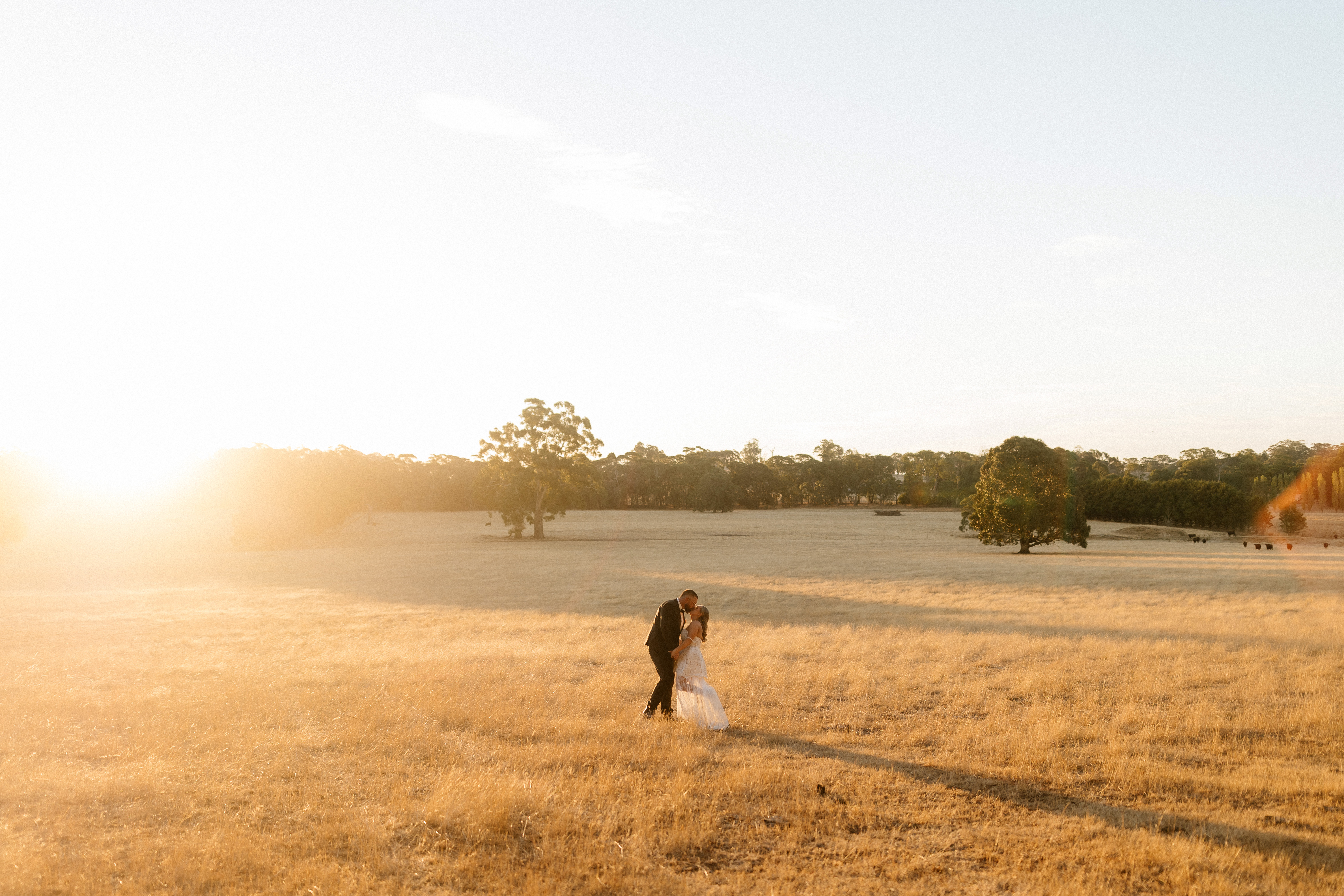 Alicia Flegeltaub Photography — photo 17 of 18