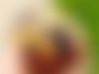 Big muffins myrtilles