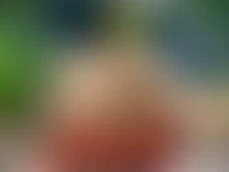 Crumble fraise/rhubarbe