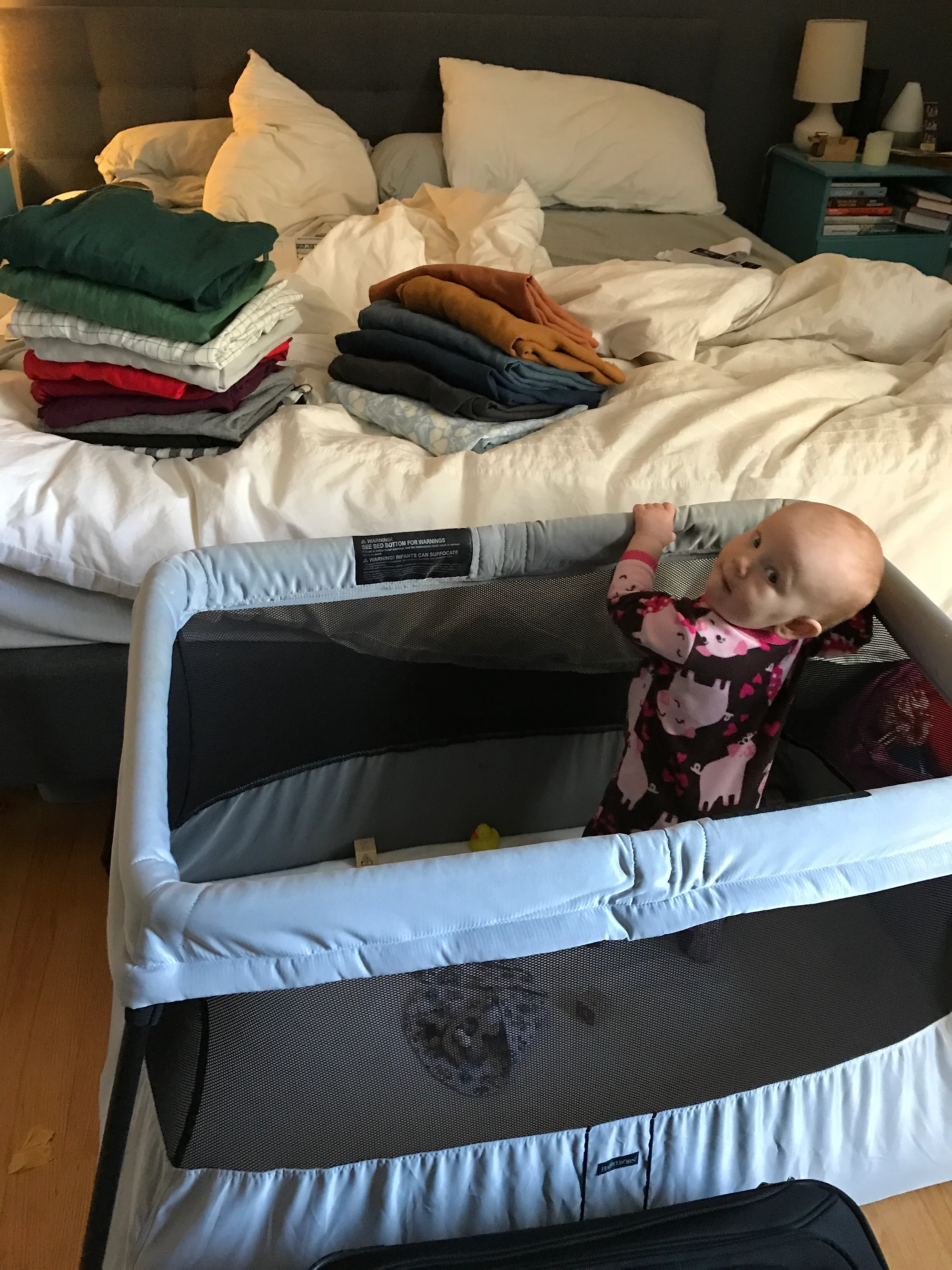 craigslist halo bassinest