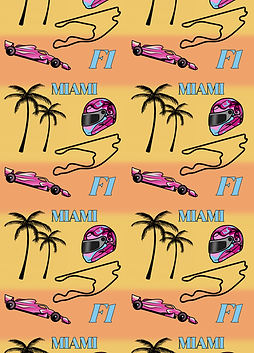 IMG_5788.PNG