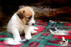 13073112_986653738055620_1362362546_o