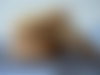 Mammy Two-Foot’s Chocolate Chip Cookies