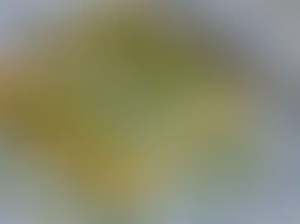 Creamy Butternut Squash Lasagna with Basil Bechamel