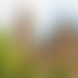 A bold new era for local government: understanding the changes ahead