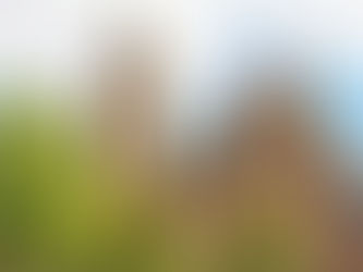 A bold new era for local government: understanding the changes ahead