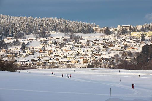 Winter- und Langlaufspass_Tannenbaumloipe_(C)Tourist-Information Sankt Englmar.jpg