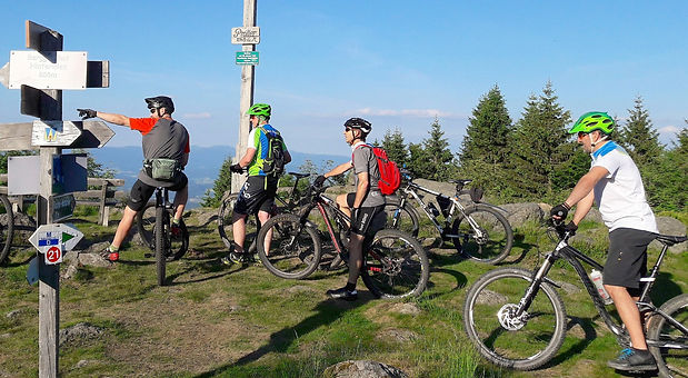 MTB Pröllergipfel_(C)Tourist-Information Sankt Englmar_edited.jpg