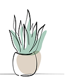 house plant.png