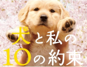 As 10 Promessas entre o Cão e Eu