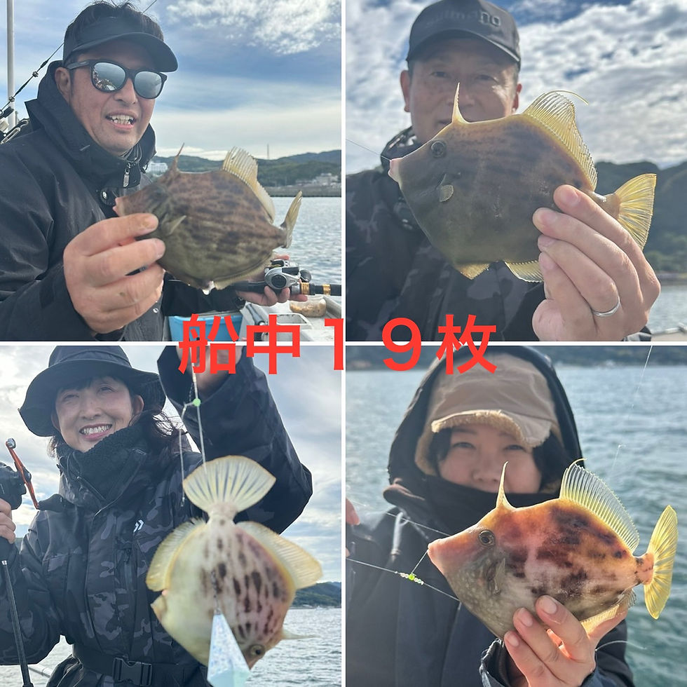 【カワハギ】船中19枚・ゲスト(ウマズラ、ベラ、ショウサイフグ)竿頭5枚2名・嫁 釣りガール8枚
