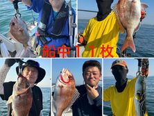 【午後タイラバ】船中１１枚・竿頭５枚・次２枚３名