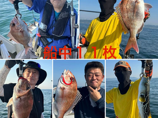 【午後タイラバ】船中１１枚・竿頭５枚・次２枚３名