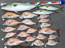 鯛１９枚・鰤１本・ハマチ２本・竿頭〜鯛５枚・次５枚