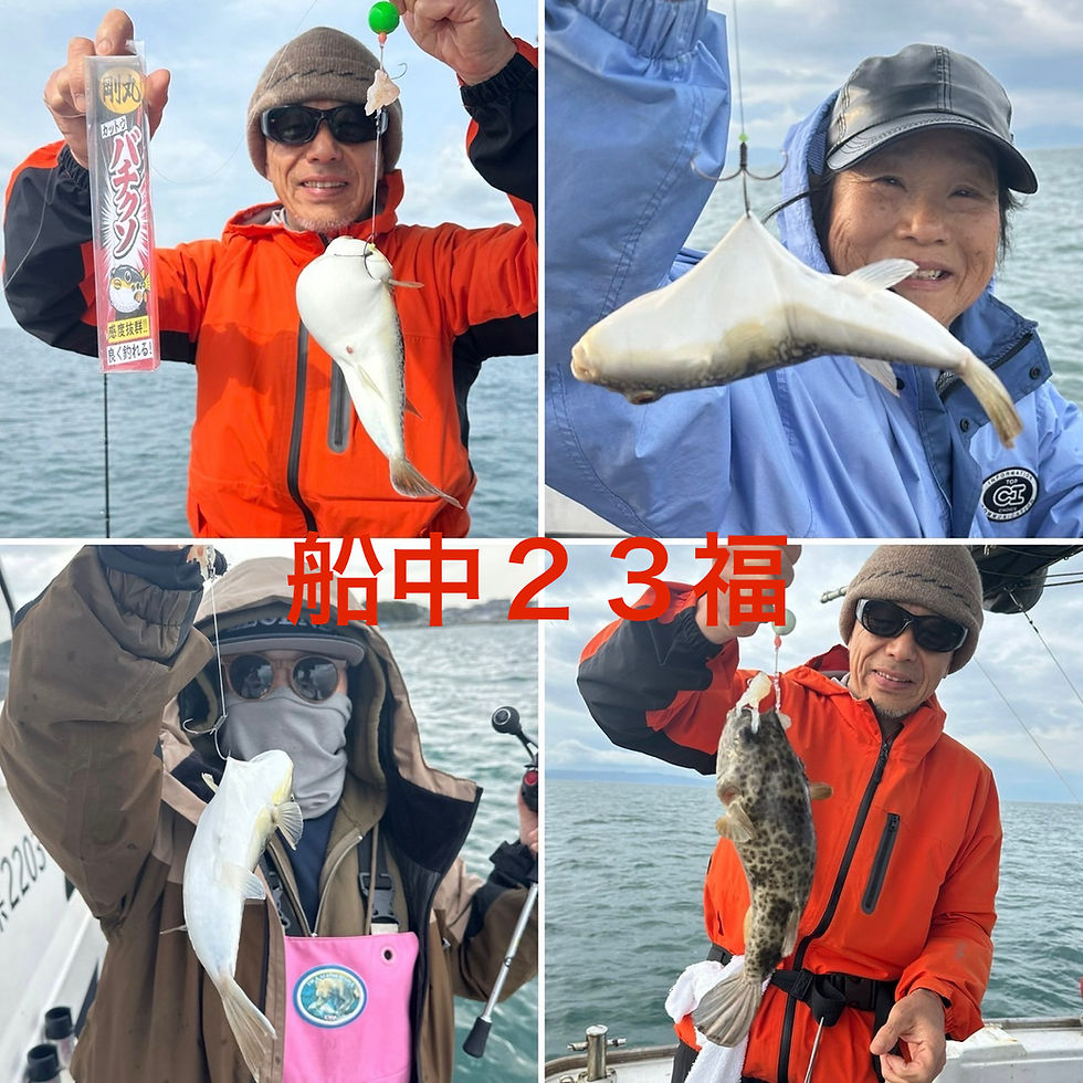 【ショウサイフグ】2名様乗船・船中23福・ゲスト(ヒガンフグ)・竿頭9福・次8福・最大37.5cm