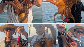 【タコ便】🔥2kg UP🐙降臨❗️全員安打‼️チャーター5名様乗船