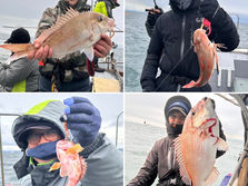 船中鯛2枚・ホウボウ1etc...