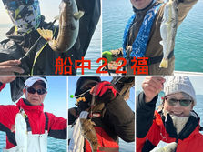 【ショウサイフグ】6名様乗船・船中22福・竿頭17福・最大35cm