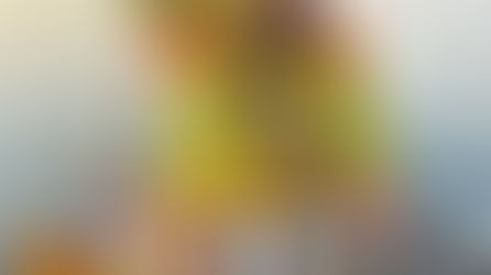 【ショウサイフグ】4名様乗船・船中１１福・ヒガンフグ１福・竿頭７福・最大ヒガンフグ３５cm