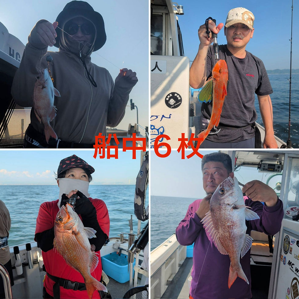 【午後タイラバ】2名様乗船・船中6枚・竿頭2枚・ゲスト(ガンゾウビラメ・ホウボウ・シマフグ)