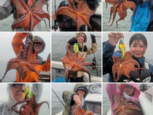 【タコ便】2kg🐙 UP降臨🔥・9名様乗船・初挑戦で竿頭❗️