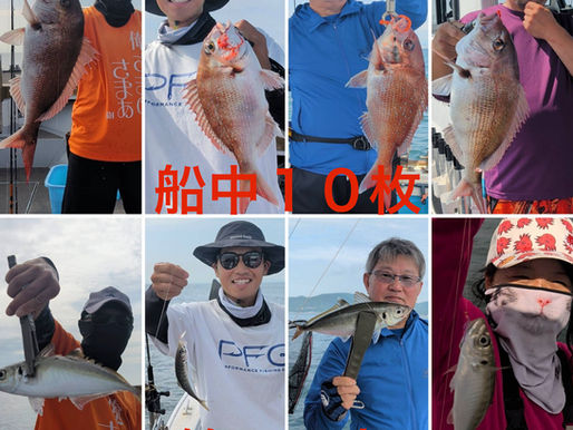 【午後タイラバ・鯵サビキ】3名乗船・船中10枚・鯵20本・竿頭鯛4枚、鯵5本