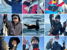 ショウサイフグ】船中25福・竿頭6福・次5福