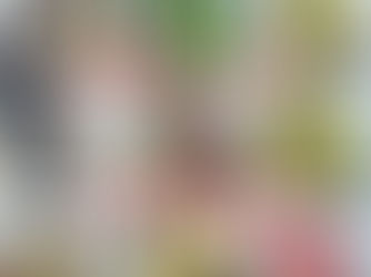 【バーチカルティップラン】船中アオリ11杯・甲イカ5杯・竿頭4杯