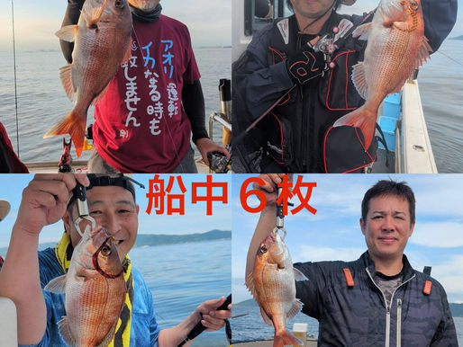 【午後タイラバ】4名様乗船・船中6枚・2枚リリース・ゲスト(グチ・ハマチ)・竿頭2枚リリース1枚