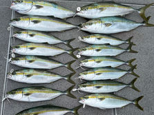 船中メジロ４本・ハマチ１０本・ツバス２本　竿頭メジロ２本・ハマチ２本