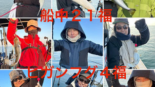 【ショウサイフグ】6名様乗船・船中21福・ゲスト(ヒガンフグ)・竿頭6福・次5福・最大40cm