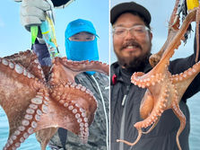 【タコ】１.５kg釣れました。船中５杯・リリース１杯・竿頭３杯・リリース１杯