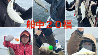 【ショウサイフグ】6名様乗船・船中20福・リリース6福・竿頭7福・リリース2福・最大37.5cm