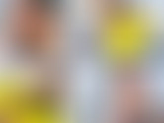 タコ10杯・鯛5枚