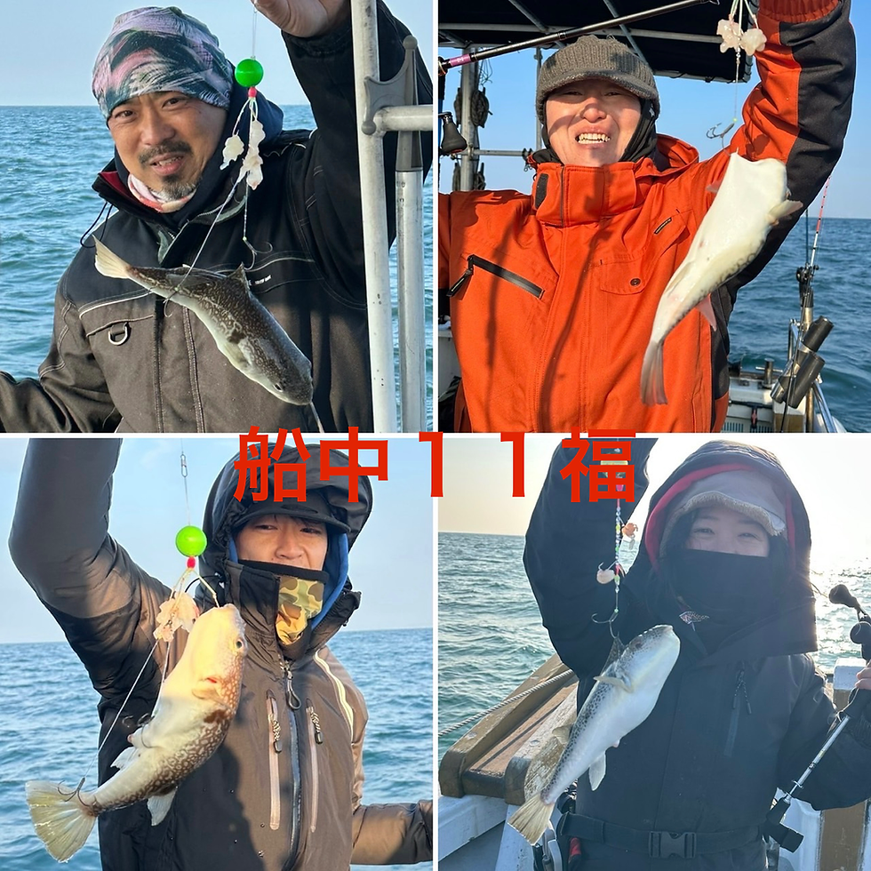 【ショウサイフグ】5名様乗船・船中11福・竿頭5福・次4福・最大33.5cm