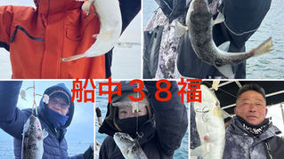 【ショウサイフグ】3名様乗船・船中38・リリース1福・ヒガン7福・竿頭15福・最大39cm